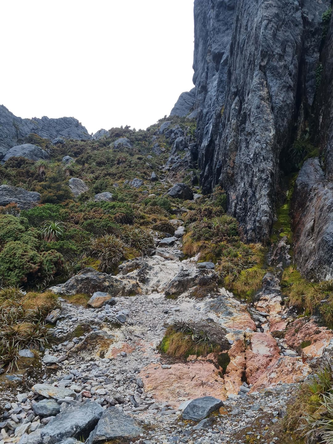 The sketchy descent into Oberon - the acid test for whats to come.