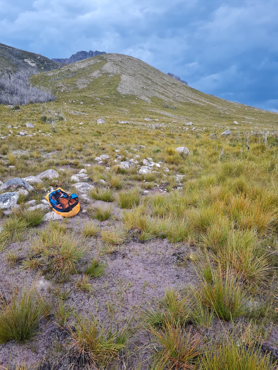 Uneven, spiky, warm buttongrass camp that was my bed for a few hours.