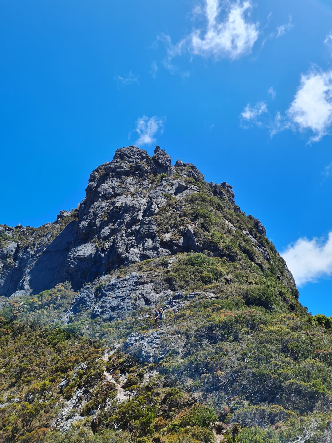 Descending Capricorn - the trail just visible. Exposed, rocky, technical and exhausting.
