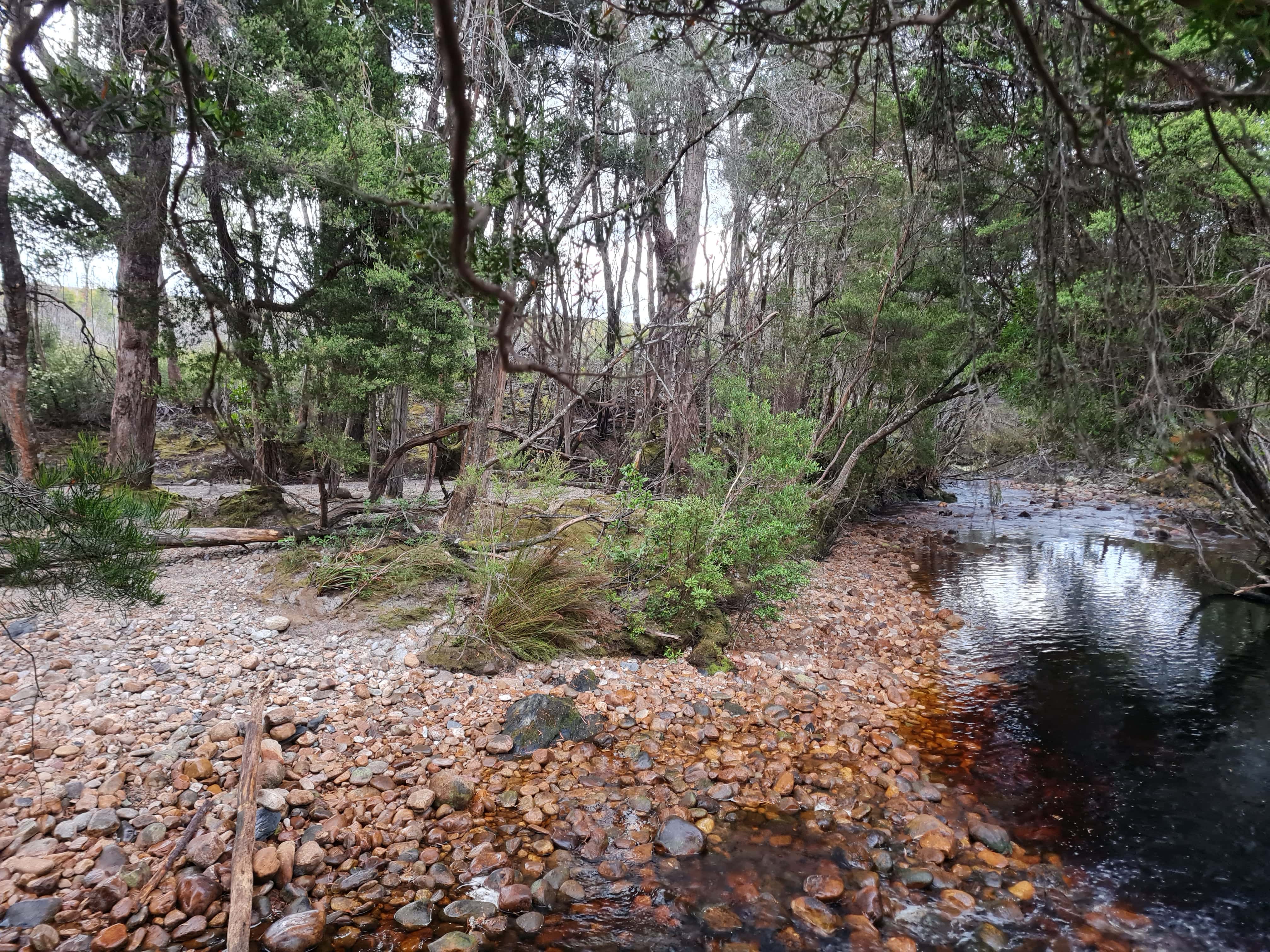 Seven Mile Creek.